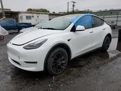 7SAYGDED6PF956342 2023 TESLA MODEL Y