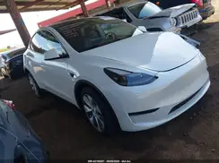 7SAYGDED6RF056253 2024 TESLA MODEL Y