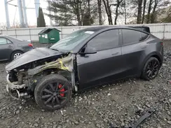 7SAYGDED6RF093531 2024 TESLA MODEL Y