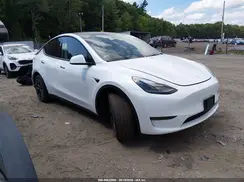 7SAYGDED6SF223099 2025 TESLA MODEL Y