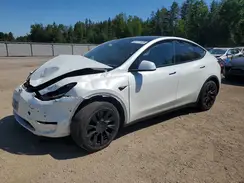 7SAYGDED8RF025084 2024 TESLA MODEL Y