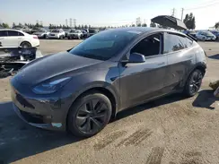 7SAYGDED8SF317193 2025 TESLA MODEL Y