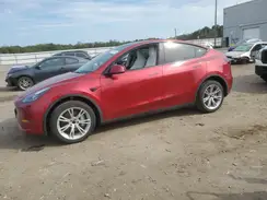 7SAYGDED9RF011159 2024 TESLA MODEL Y