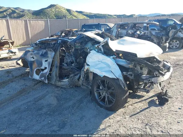 7SAYGDED9RF106563 2024 TESLA MODEL Y - Image 1