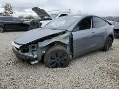 7SAYGDED9RF193347 2024 TESLA MODEL Y