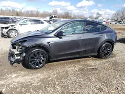 7SAYGDEDXRF042808 2024 TESLA MODEL Y