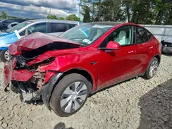 7SAYGDEDXRF046387 2024 TESLA MODEL Y