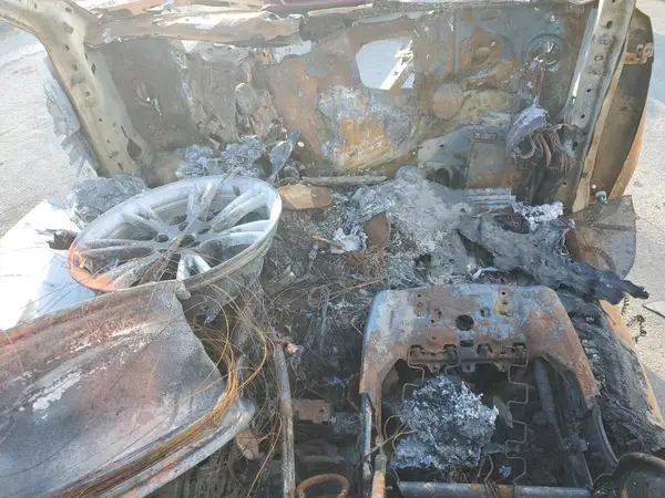 7SAYGDEDXRF111335 2024 TESLA MODEL Y - Image 8