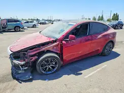 7SAYGDEDXRF193356 2024 TESLA MODEL Y