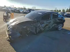 7SAYGDEDXSF250659 2025 TESLA MODEL Y