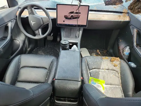 7SAYGDEE0NF424476 2022 TESLA MODEL Y - Image 8