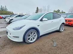 7SAYGDEE0NF542267 2022 TESLA MODEL Y
