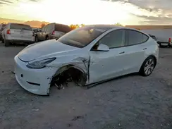 7SAYGDEE0PA053660 2023 TESLA MODEL Y