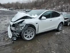 7SAYGDEE0PA067817 2023 TESLA MODEL Y