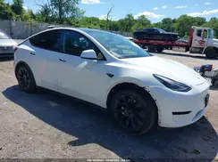 7SAYGDEE0PF598499 2023 TESLA MODEL Y