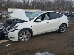 7SAYGDEE0PF610814 2023 TESLA MODEL Y