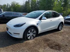 7SAYGDEE0PF629685 2023 TESLA MODEL Y