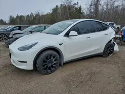 7SAYGDEE0PF690549 2023 TESLA MODEL Y