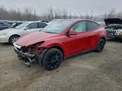 7SAYGDEE0PF690826 2023 TESLA MODEL Y