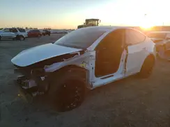 7SAYGDEE0PF692298 2023 TESLA MODEL Y