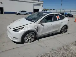 7SAYGDEE0PF802072 2023 TESLA MODEL Y