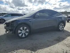 7SAYGDEE0PF842135 2023 TESLA MODEL Y