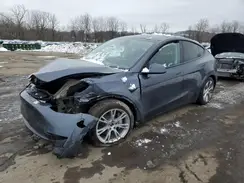 7SAYGDEE0PF861266 2023 TESLA MODEL Y