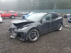 7SAYGDEE0PF926309 2023 TESLA MODEL Y