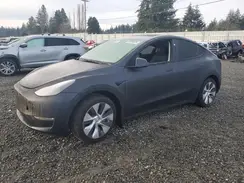 7SAYGDEE0RF014038 2024 TESLA MODEL Y