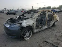 7SAYGDEE0RF021569 2024 TESLA MODEL Y