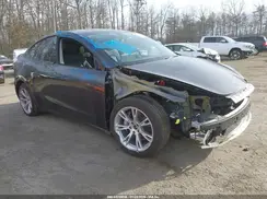 7SAYGDEE0RF083795 2024 TESLA MODEL Y