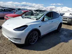 7SAYGDEE0SF305905 2025 TESLA MODEL Y