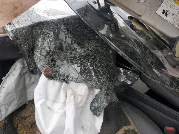7SAYGDEE1PA127829 2023 TESLA MODEL Y - Image 8