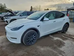 7SAYGDEE1PF709982 2023 TESLA MODEL Y