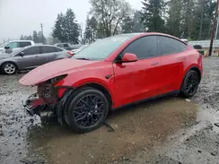 7SAYGDEE1PF885981 2023 TESLA MODEL Y