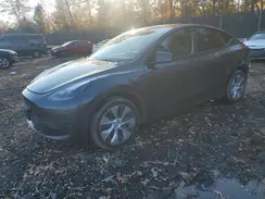 7SAYGDEE1RA218828 2024 TESLA MODEL Y