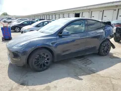 7SAYGDEE1RA234222 2024 TESLA MODEL Y