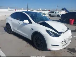7SAYGDEE1RA251828 2024 TESLA MODEL Y