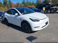7SAYGDEE1RA257869 2024 TESLA MODEL Y