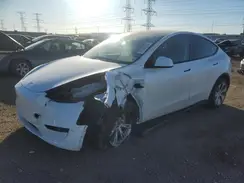 7SAYGDEE1RA260769 2024 TESLA MODEL Y