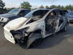 7SAYGDEE1RF025842 2024 TESLA MODEL Y