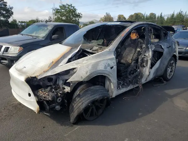 7SAYGDEE1RF025842 2024 TESLA MODEL Y - Image 1