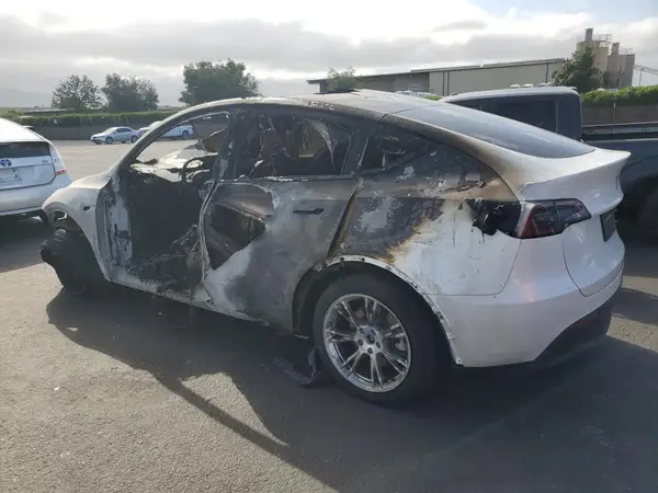 7SAYGDEE1RF025842 2024 TESLA MODEL Y - Image 2