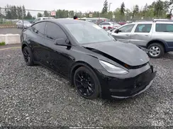 7SAYGDEE1RF033066 2024 TESLA MODEL Y