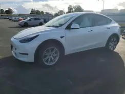 7SAYGDEE1RF059599 2024 TESLA MODEL Y