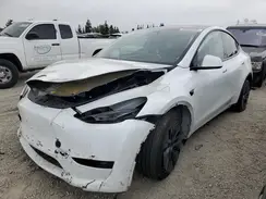 7SAYGDEE1RF191665 2024 TESLA MODEL Y