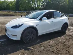 7SAYGDEE1RF201627 2024 TESLA MODEL Y
