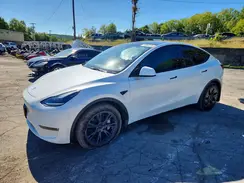 7SAYGDEE1RF202731 2024 TESLA MODEL Y
