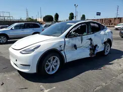 7SAYGDEE2NF448391 2022 TESLA MODEL Y