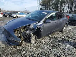 7SAYGDEE2PA149175 2023 TESLA MODEL Y